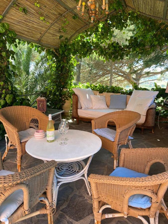 ונטורינה טרמה B&B Villa Il Poggetto מראה חיצוני תמונה
