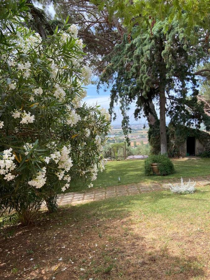 ונטורינה טרמה B&B Villa Il Poggetto מראה חיצוני תמונה