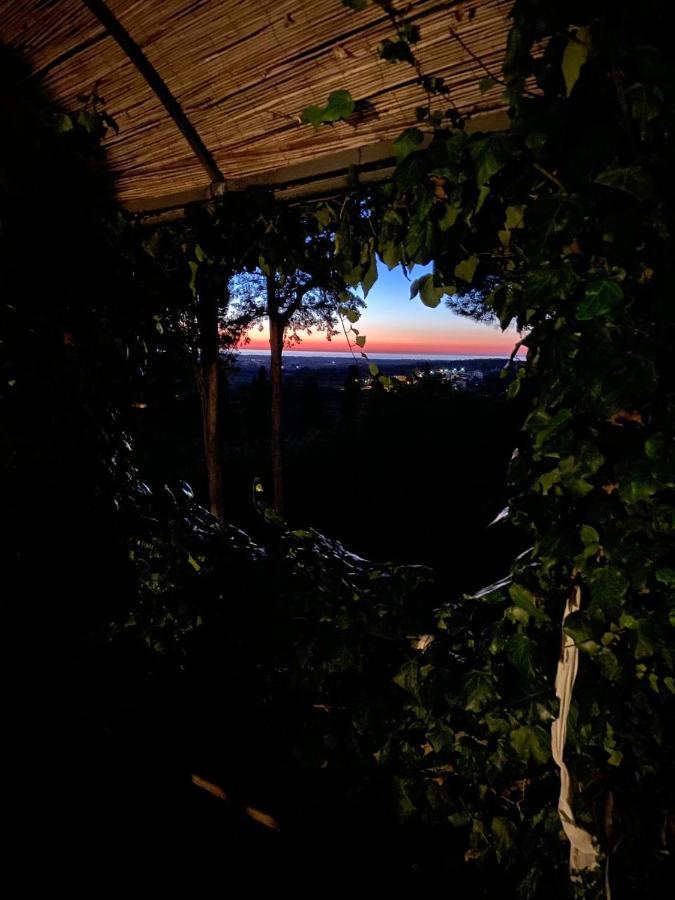 ונטורינה טרמה B&B Villa Il Poggetto מראה חיצוני תמונה