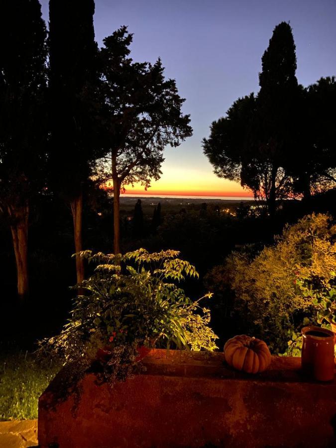 ונטורינה טרמה B&B Villa Il Poggetto מראה חיצוני תמונה