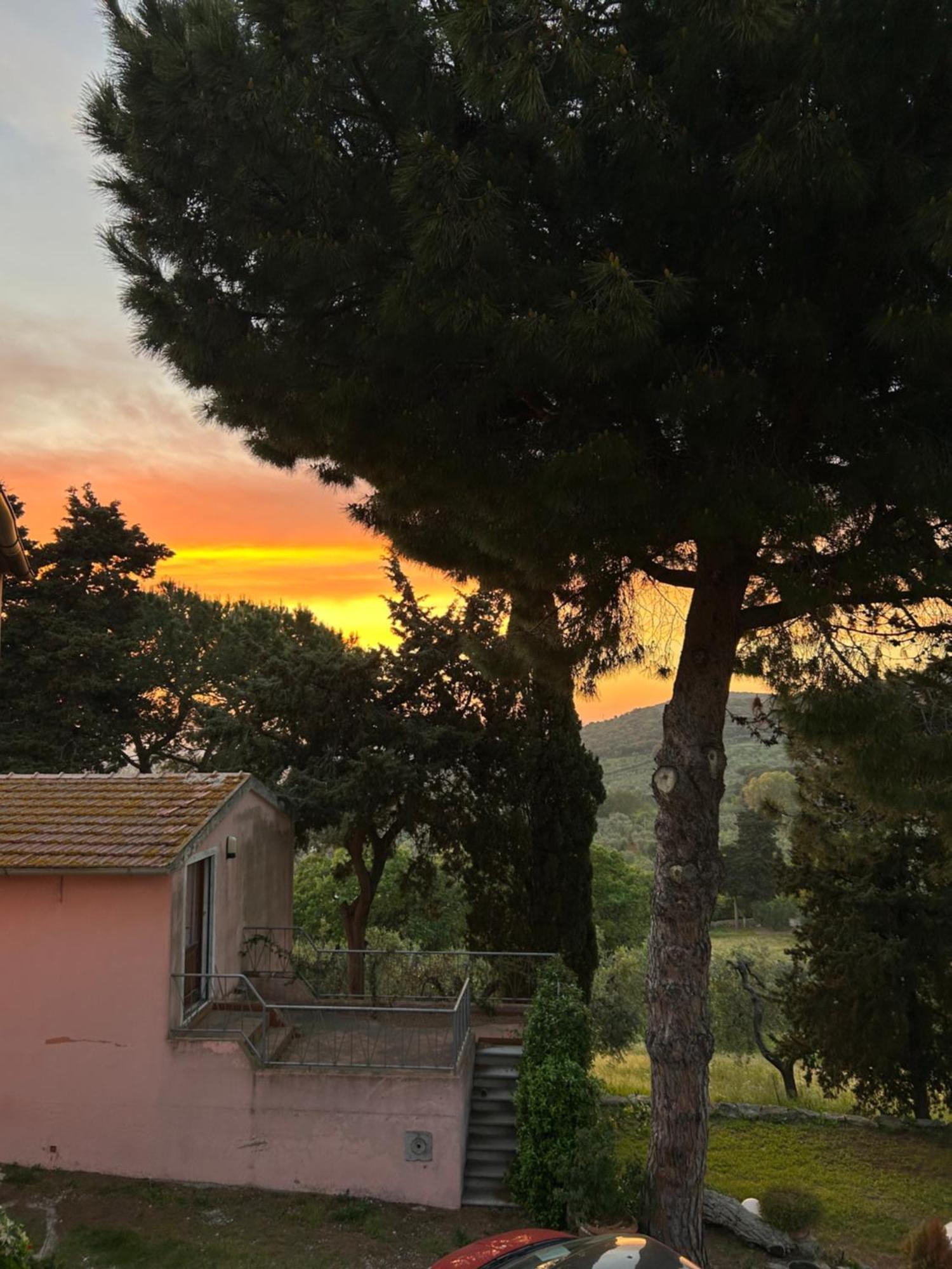 ונטורינה טרמה B&B Villa Il Poggetto מראה חיצוני תמונה