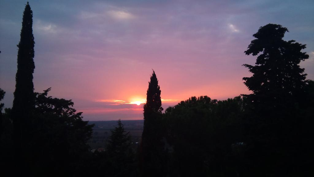 ונטורינה טרמה B&B Villa Il Poggetto מראה חיצוני תמונה
