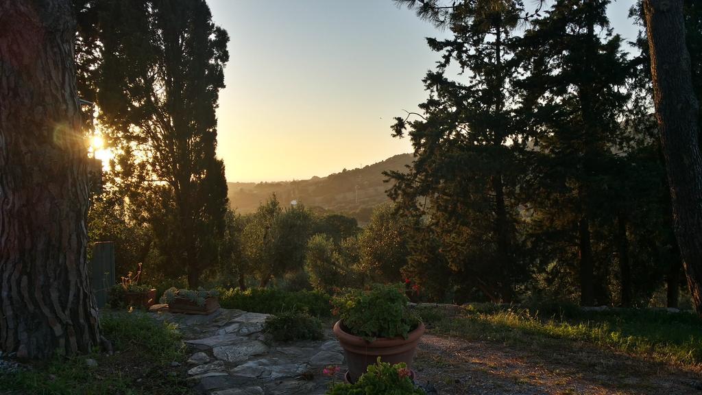 ונטורינה טרמה B&B Villa Il Poggetto מראה חיצוני תמונה