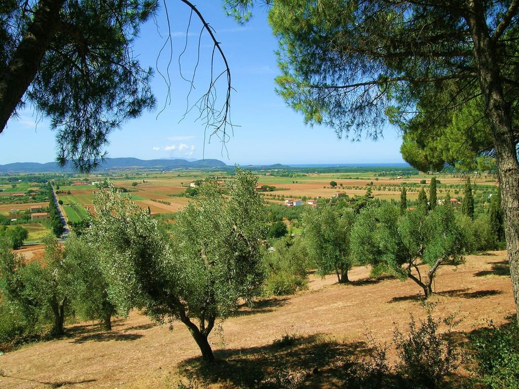 ונטורינה טרמה B&B Villa Il Poggetto מראה חיצוני תמונה